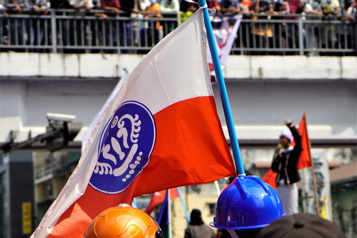 The Memo: 1 Nov—10 Nov 2024