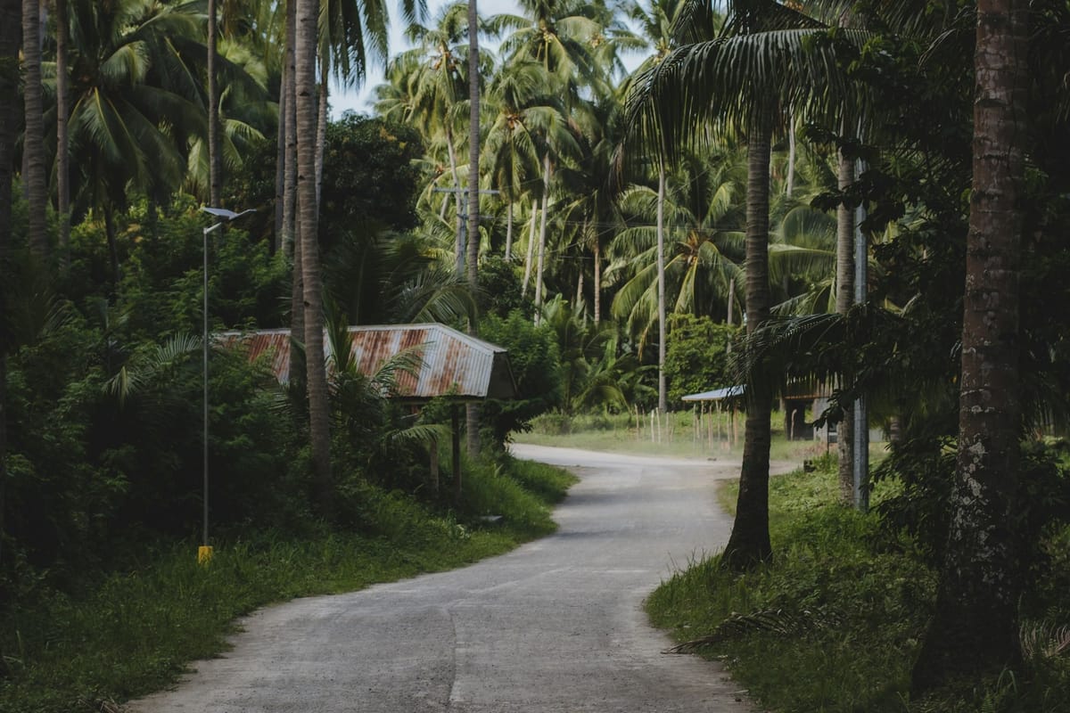 The Memo: 20 Mar—26 Mar 2023